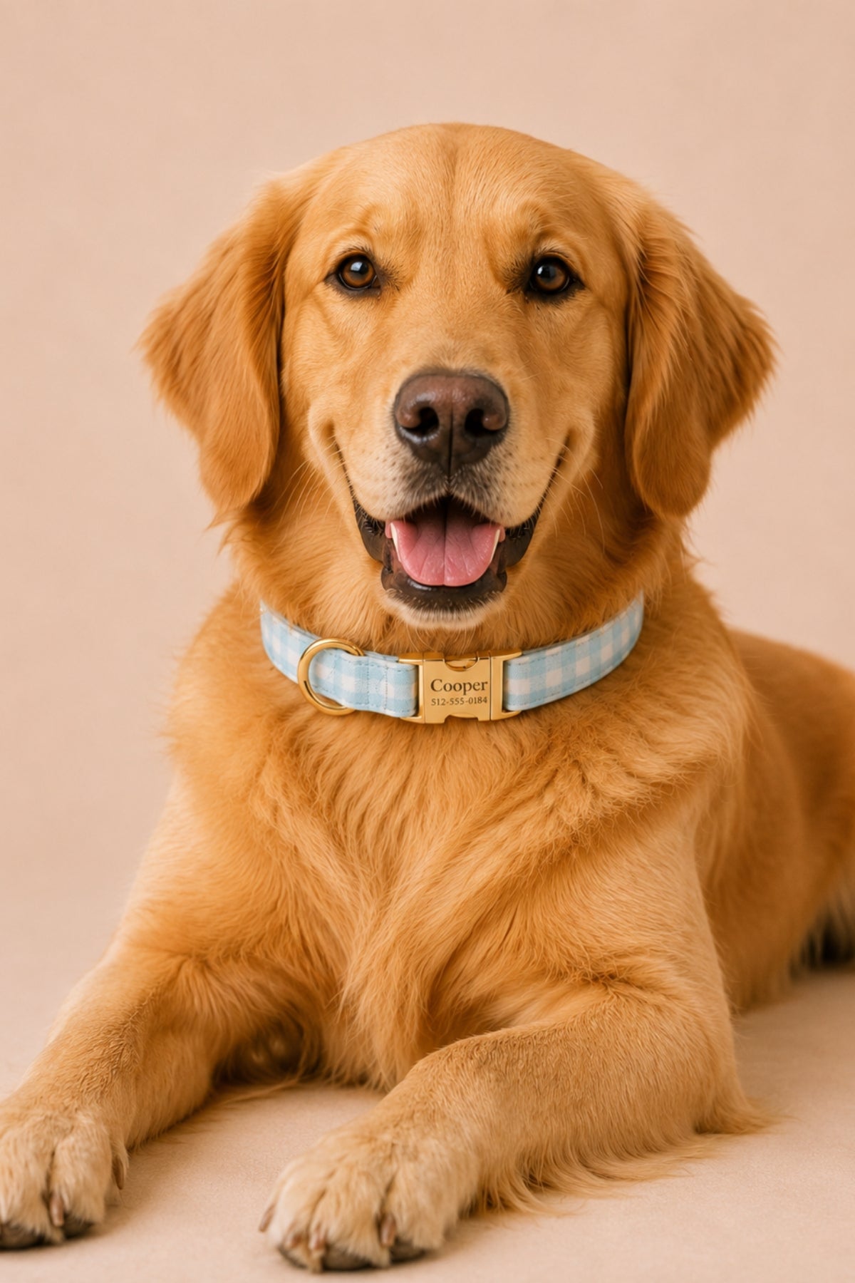 Dog Collar |  Seaside Gingham