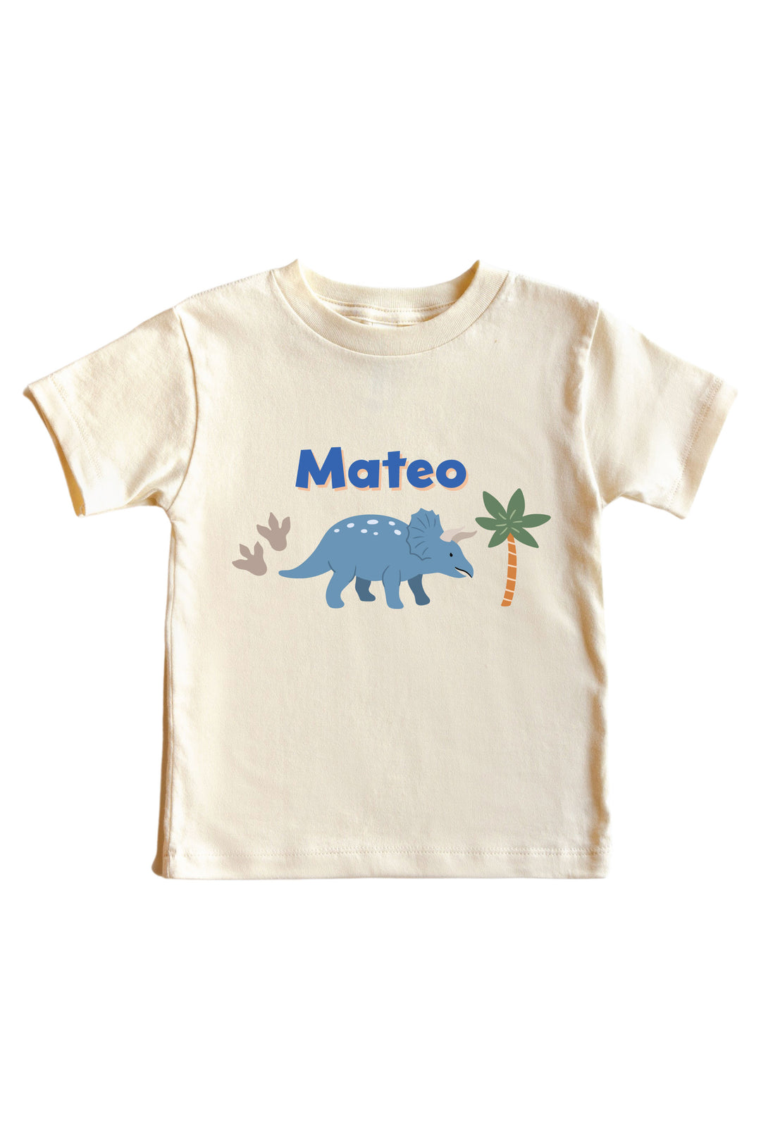 boy dinosaur graphic tee for boys 