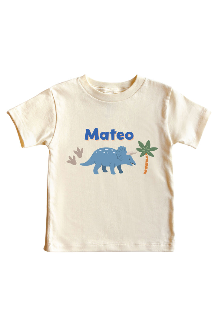 boy dinosaur graphic tee for boys 