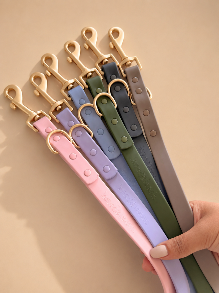silicone leash group