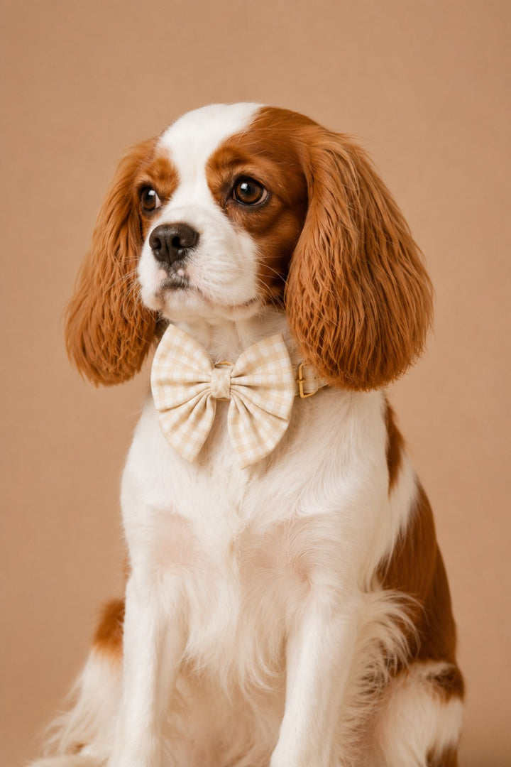 Pet Bow | Snickerdoodle Gingham