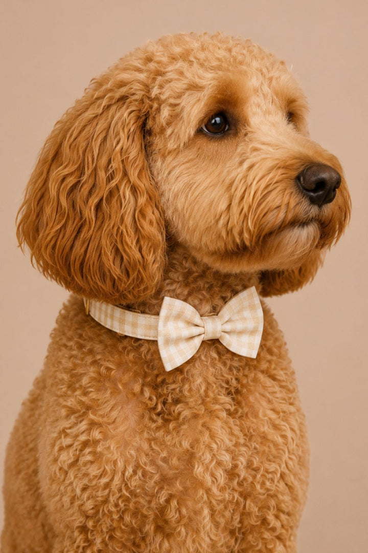 Pet Bow Tie | Snickerdoodle Gingham