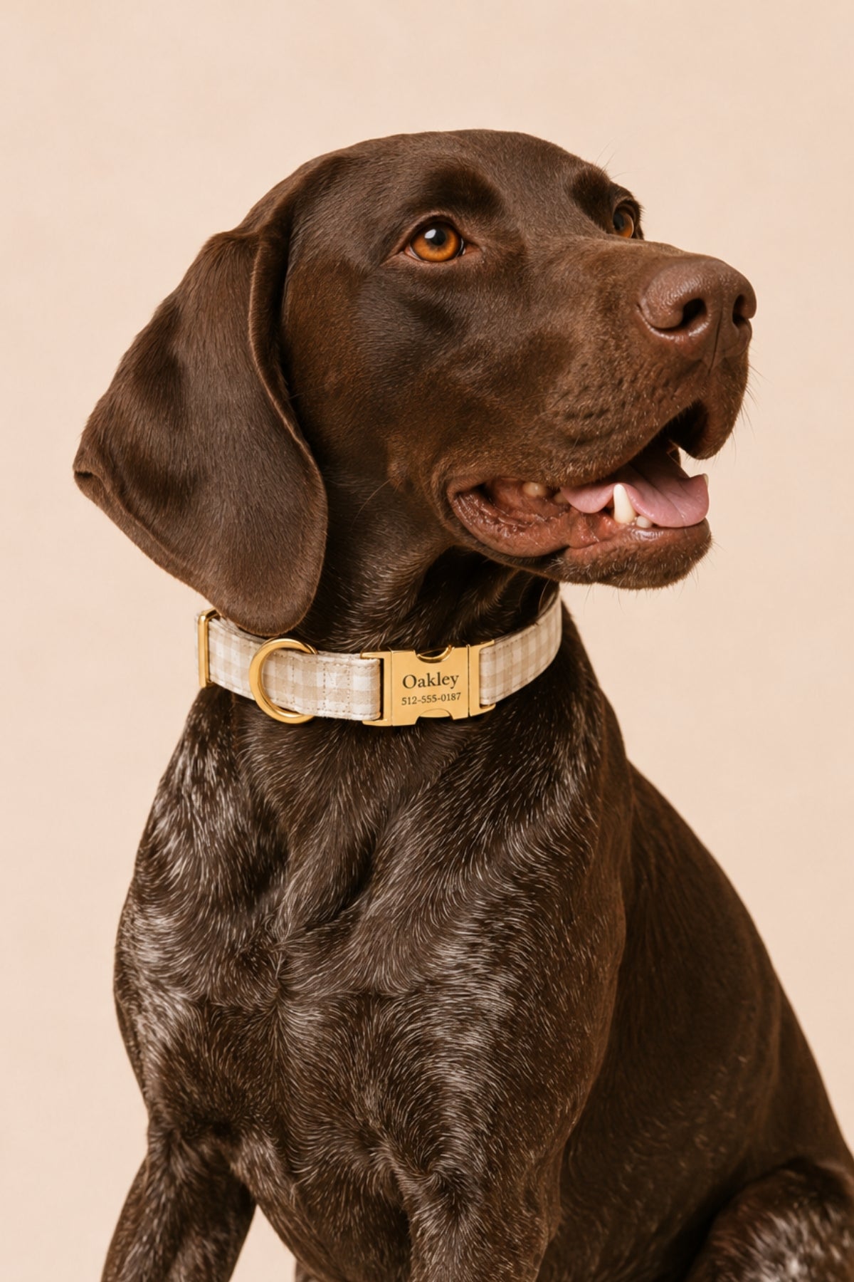 Dog Collar |  Snickerdoodle Gingham