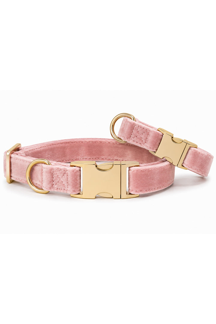 Caden Lane ballet slipper pink velvet dog collar shown at angle revealing padded interior and gold side-release buckle
