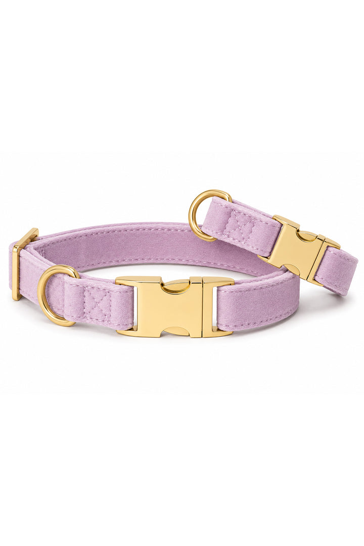 Caden Lane wisteria walk velvet dog collar shown at angle revealing padded interior and gold side-release buckle