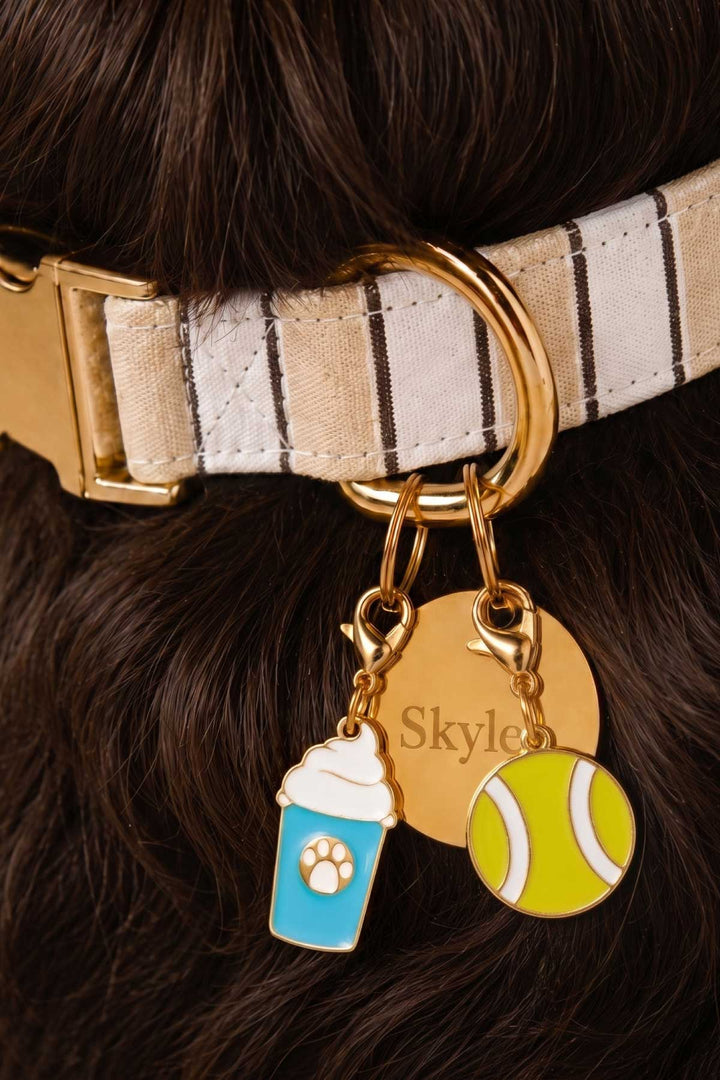 pup cup and tennis ball charm with circle id tag on biscuit stripe collar