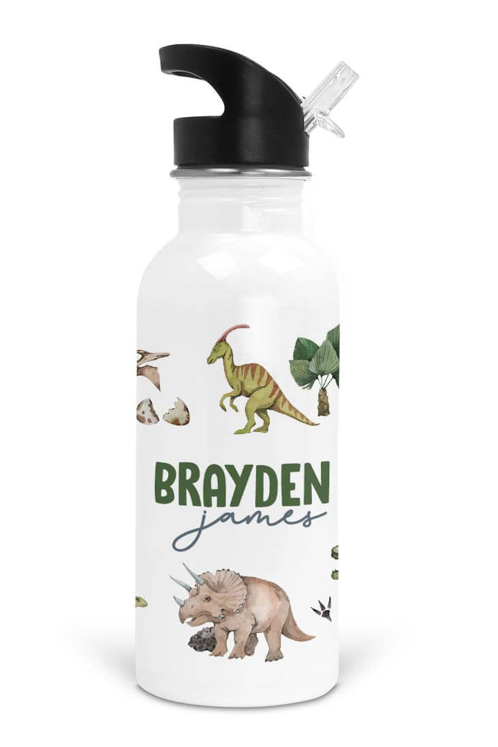 boy dinosaur personalized kids water bottle
