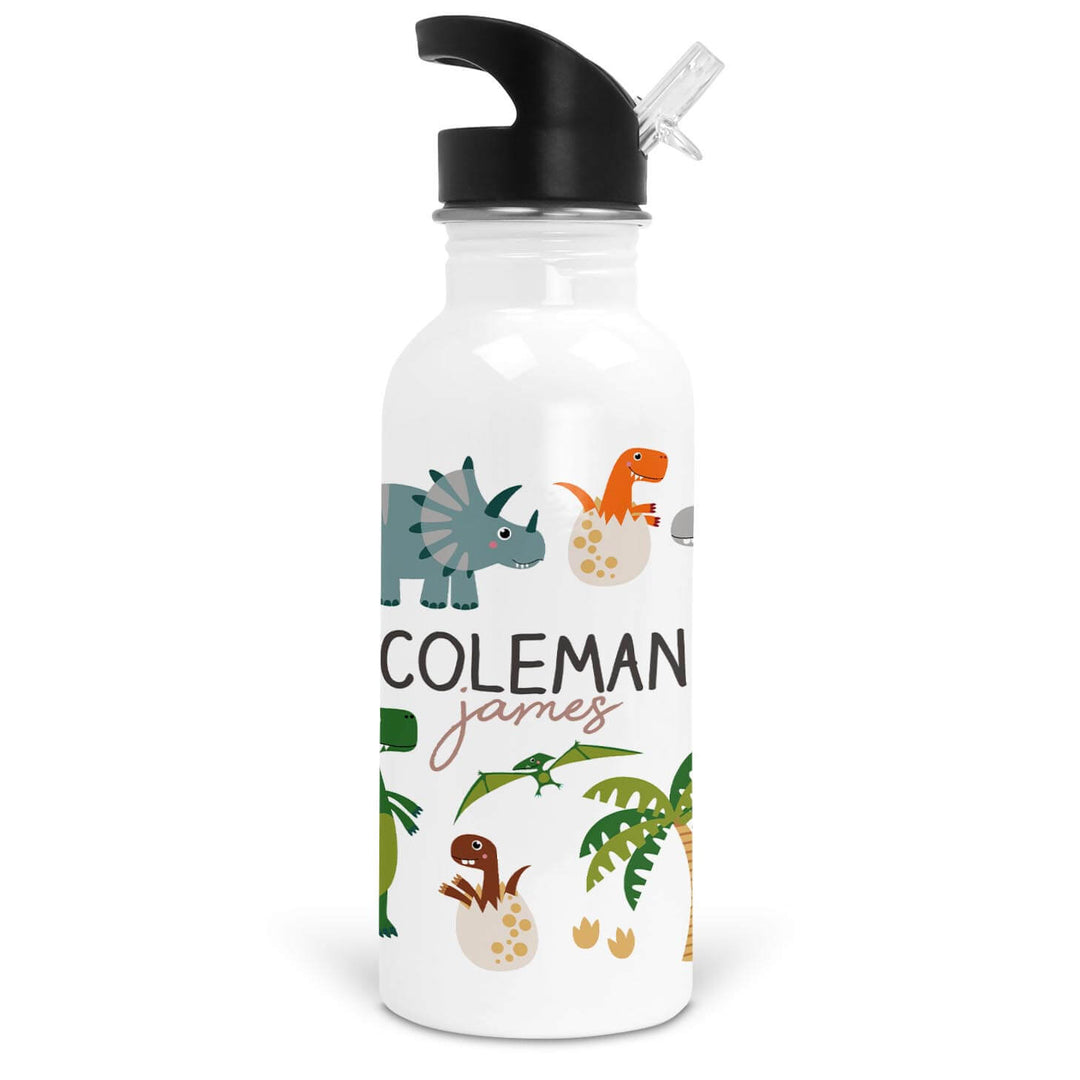 personalized dinosaur water bottle 