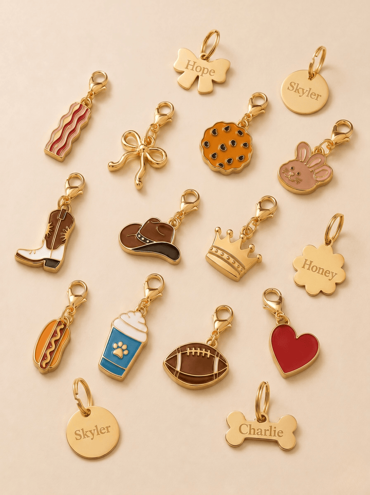 Collection of gold pet collar charms and engraved ID tags on blush background, including bacon, bow, cookie, bunny, cowboy boot, cowboy hat, crown, hot dog, pup cup, football, red heart, bone tag, and circle tag