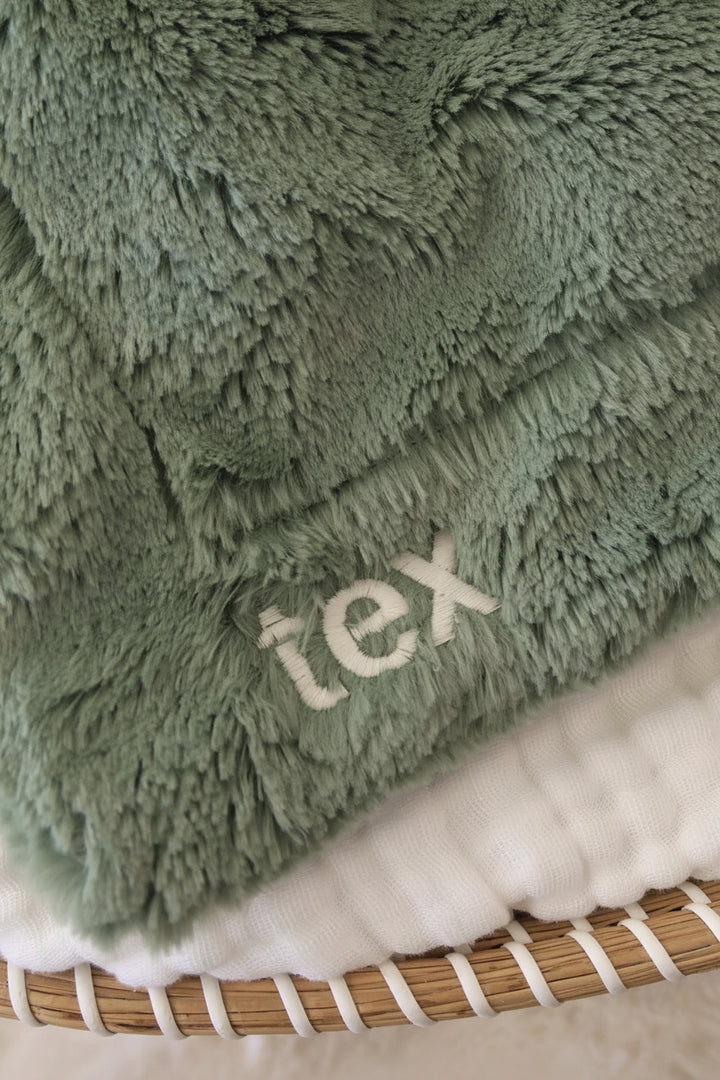 green embroidered plush dinosaur lovey with white thread in block font 