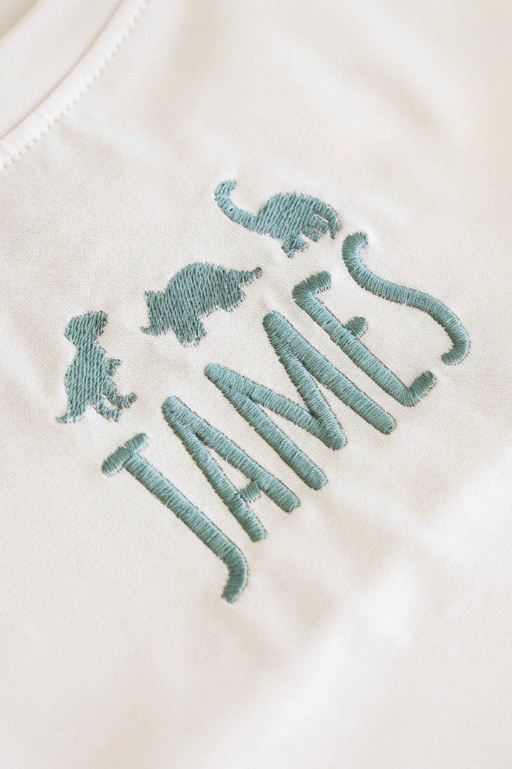 dino embroidered bubble romper for babies and toddlers 