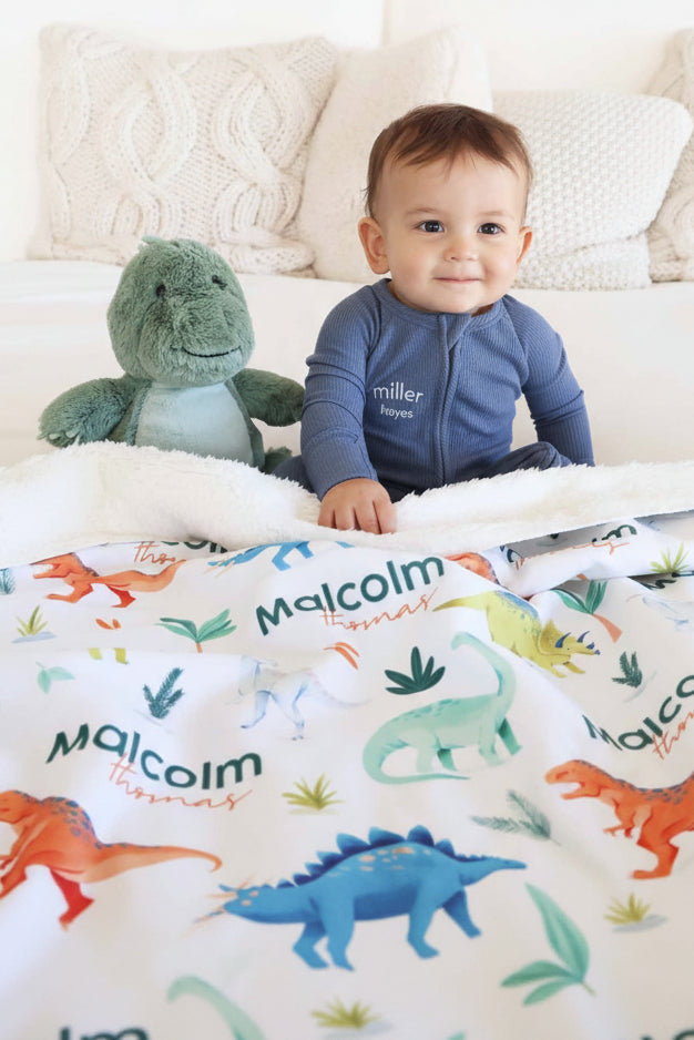 dino sherpa blanket for boys 