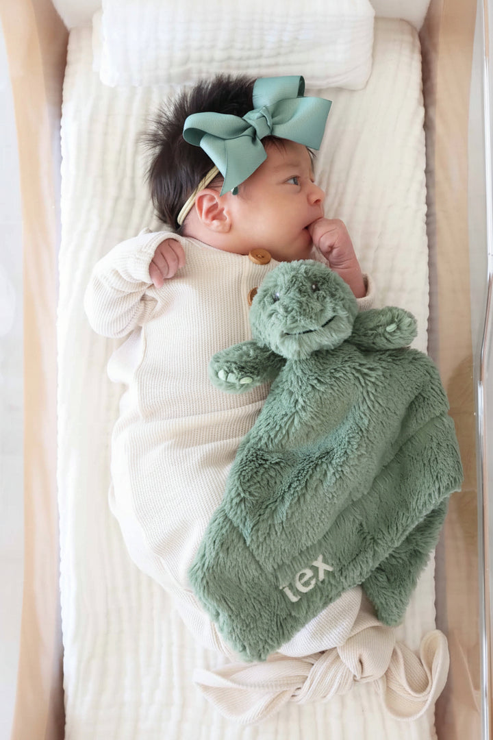tex t-rex embroidered lovey for babies 