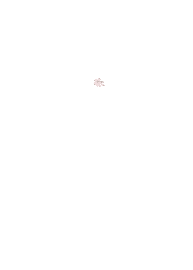 insert