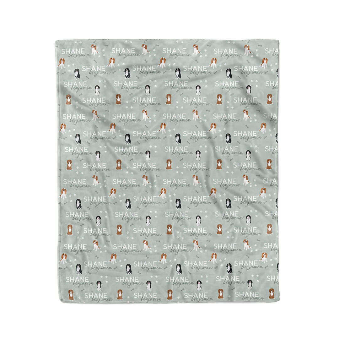 green kids blanket with king charles 