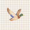 little mallard swatch