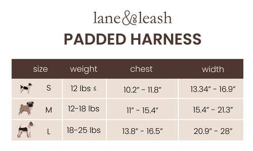 Sizing chart
