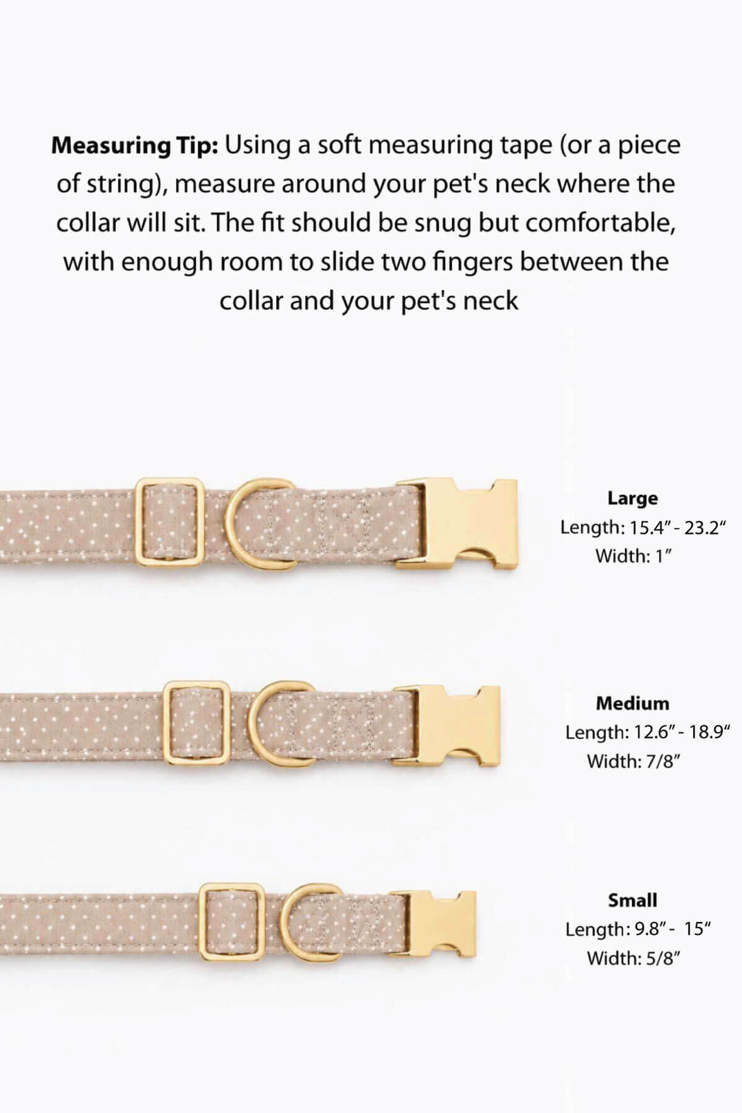 Tan French Bulldog seated and looking upward, wearing a picnic plaid dog collar with a gold personalized "Daisy" ID tag, against a light pink background