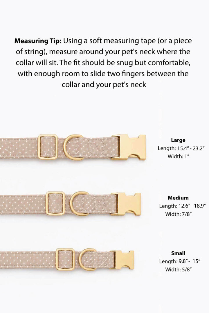 Tan French Bulldog seated and looking upward, wearing a picnic plaid dog collar with a gold personalized "Daisy" ID tag, against a light pink background