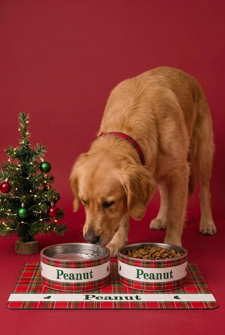 A golden retriever dog wearing a Lane & Leash red plaid collar stands beside two custom Lane & Leash metal bowls labeled 'Peanut' on a matching plaid mat, with a small decorated Christmas tree on a solid red background.