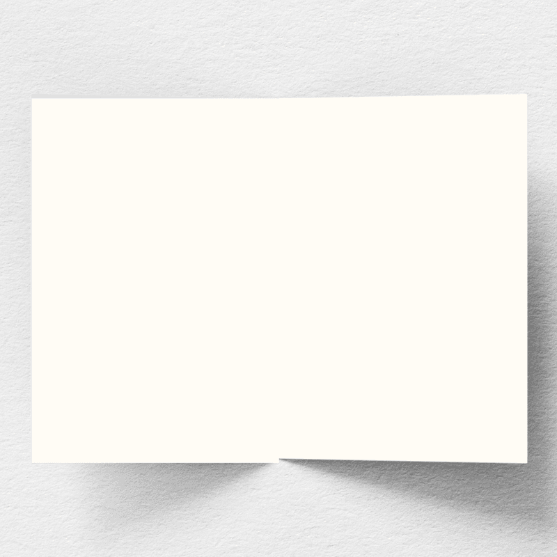 rendered_1