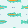 tiny trout swatch 